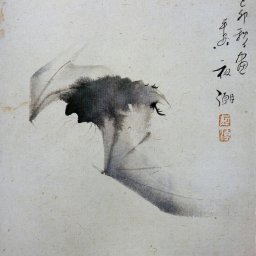 What Is It Like to be a Bat?